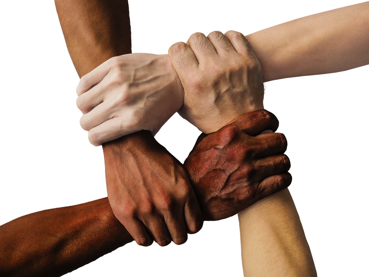 Mains unies symbolisant la synergie collective, approche AïkiEvolution
