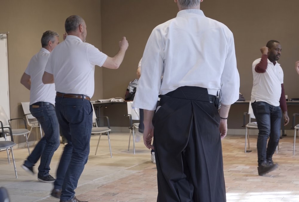 Séance AïkiEvolution en entreprise — techniques d'Aïkido appliquées au team building