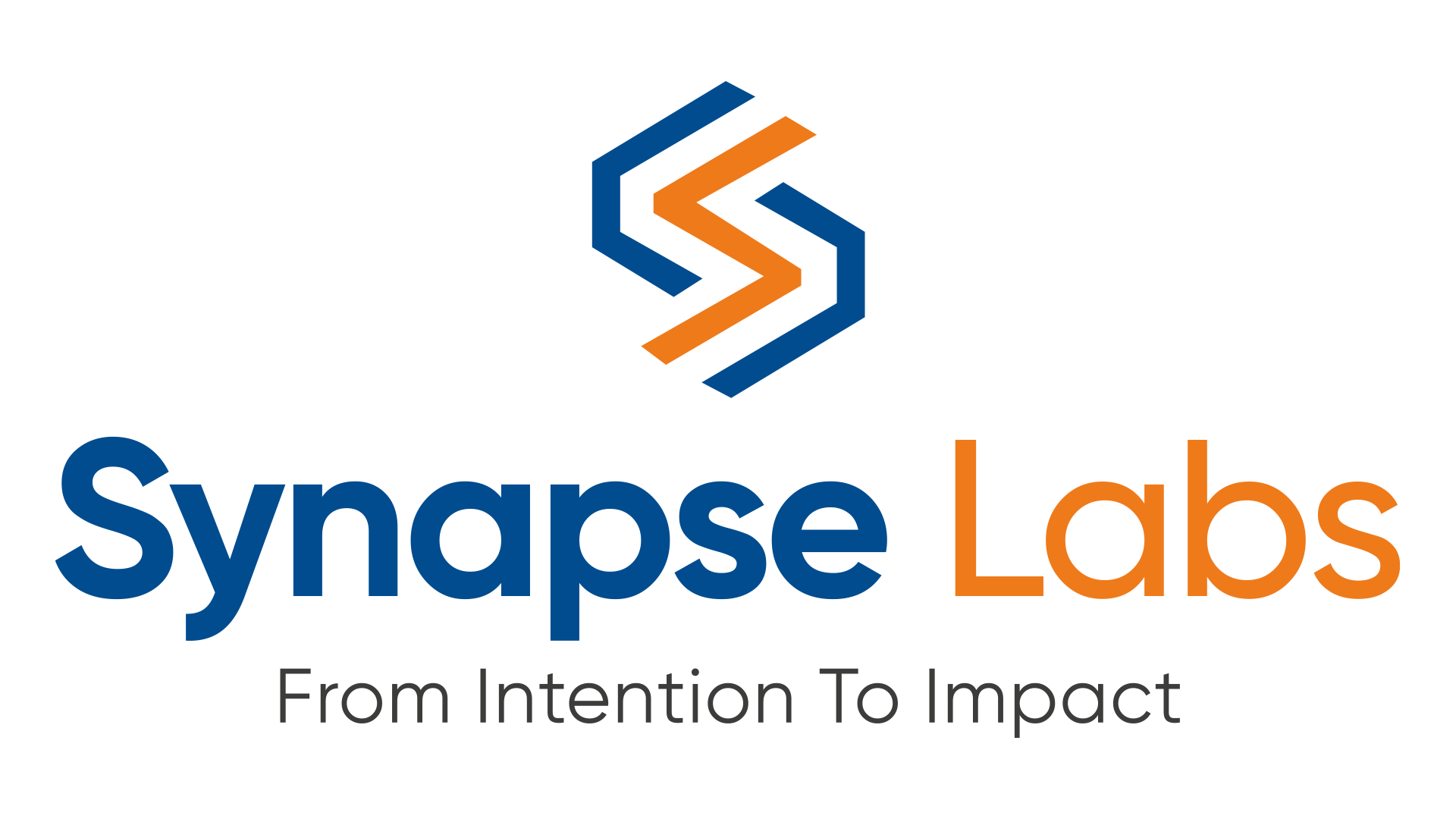Synapse Labs